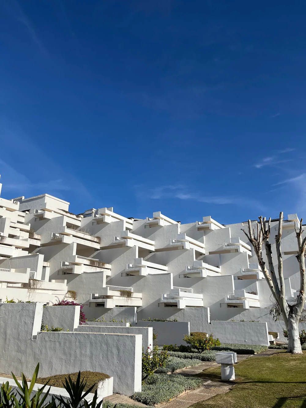 ESCOLA D'ADULTS CEPA ALCÚDIA