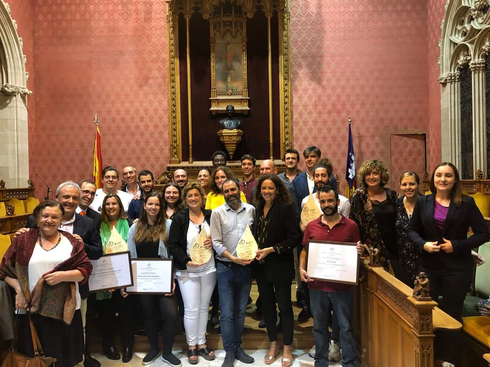 IES ALCÚDIA