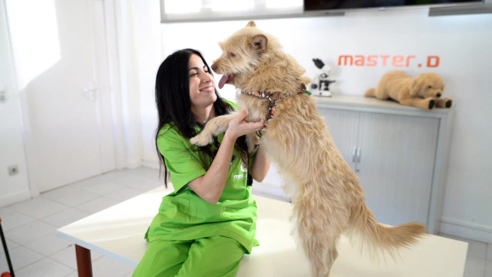 Escuela Veterinaria Davante | Alicante