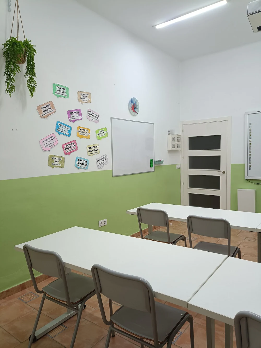 Academia de Inglés The Parrot