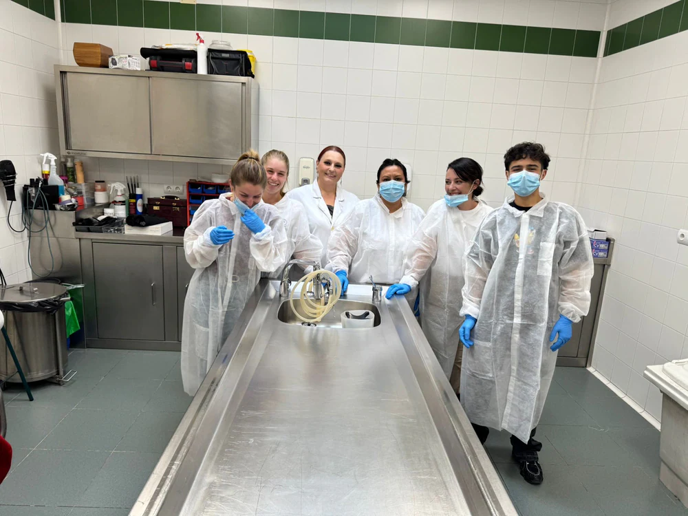 Foto de Cursos de Tanatopraxia en Madrid - Aión Tanatopraxia.