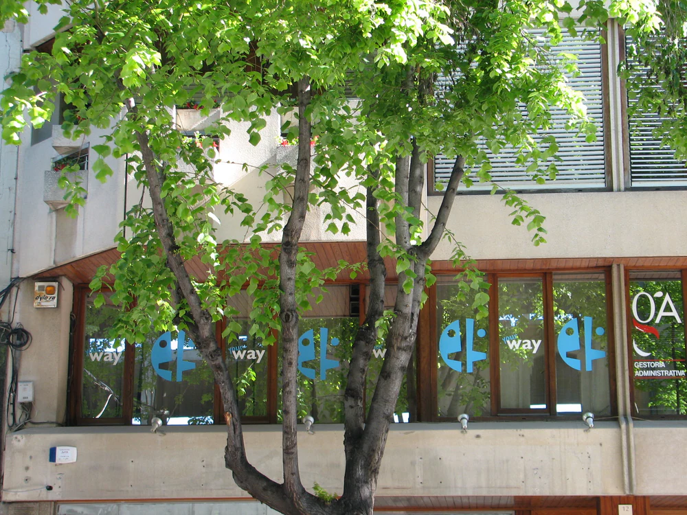 Foto de Classes d'anglès a Vic