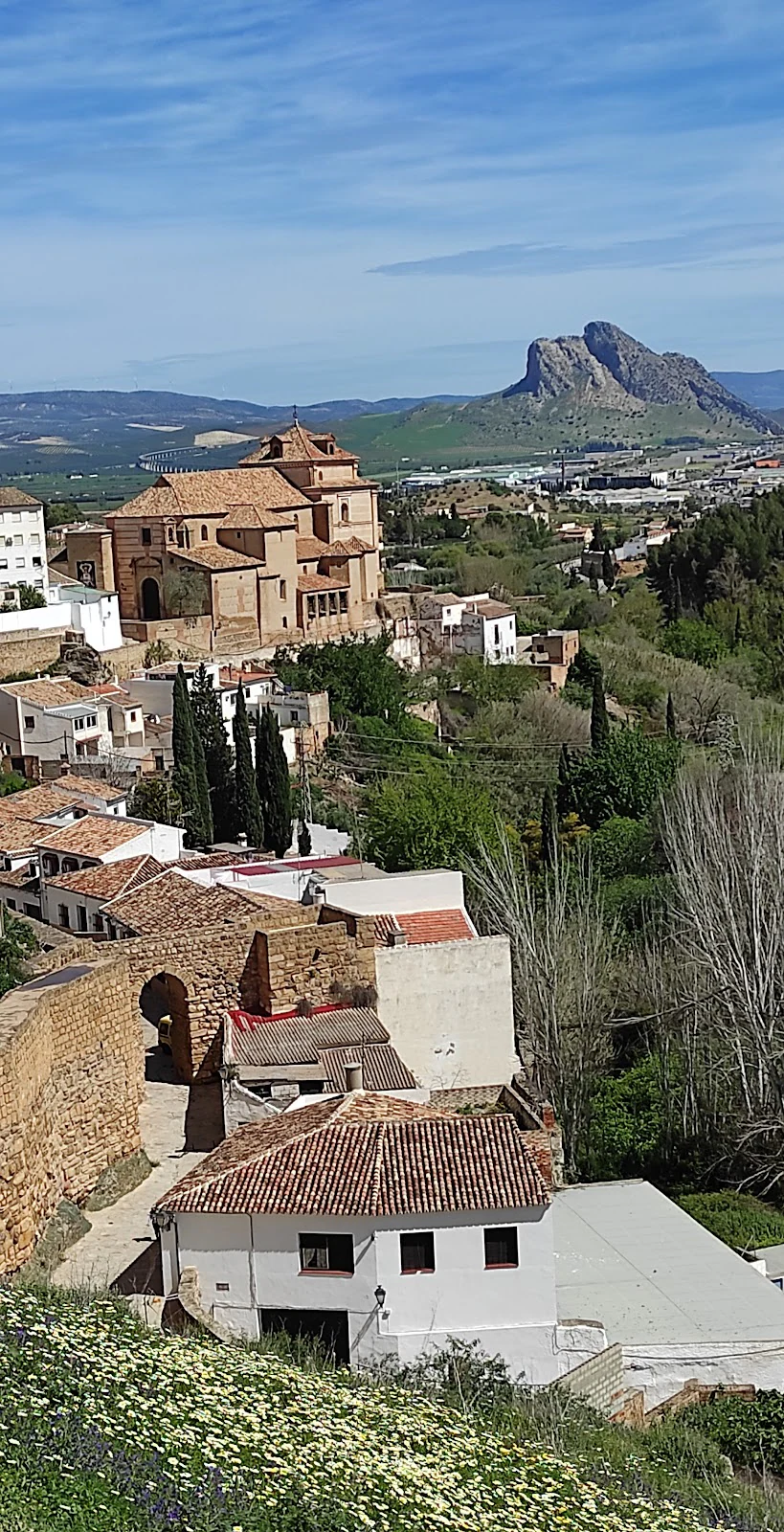 Foto de Tierra de Maestros