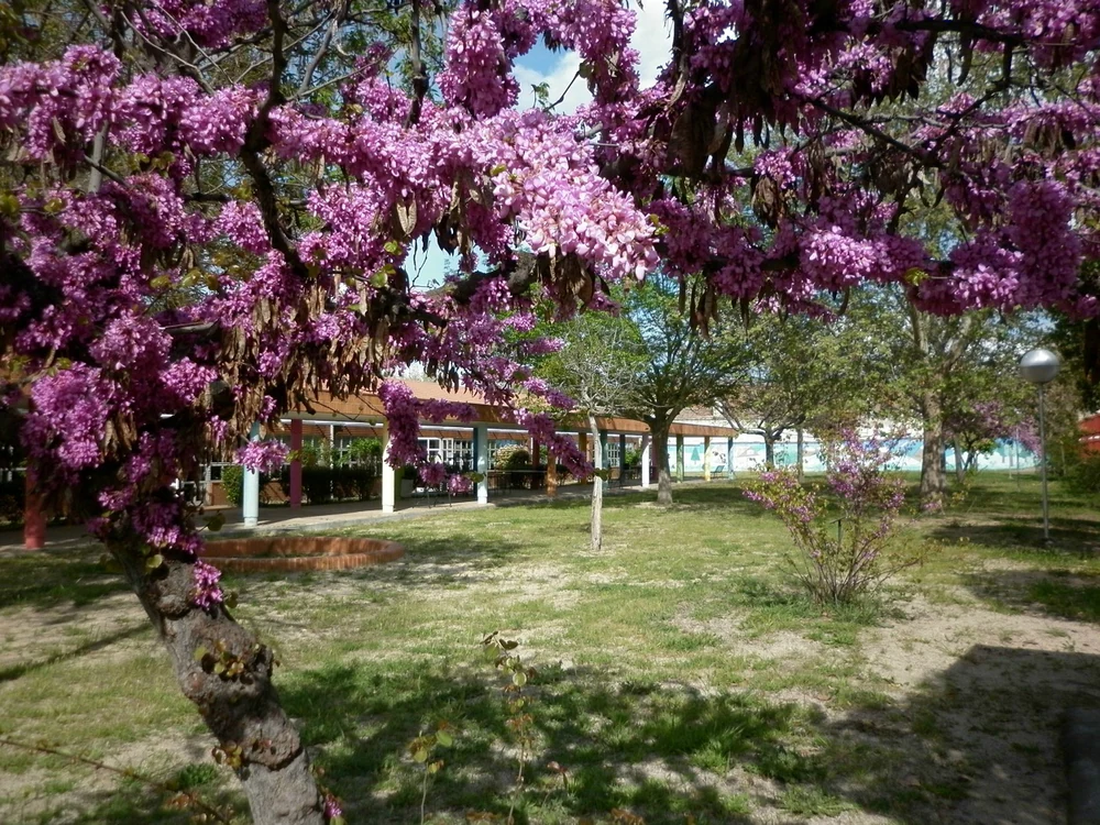 Foto de Escuela Oficial de Idiomas de Aranjuez