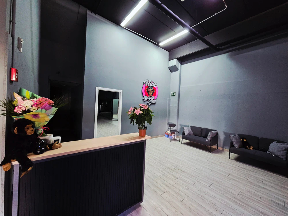 Nine Dance School