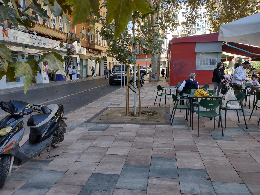 La Academia de José Luis Reverte