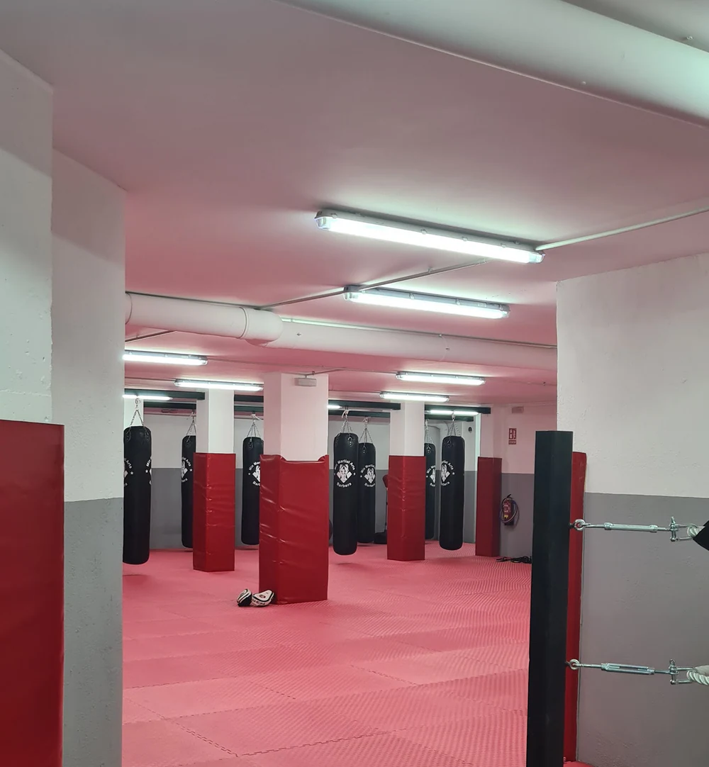 Foto de Drills Submission Academy