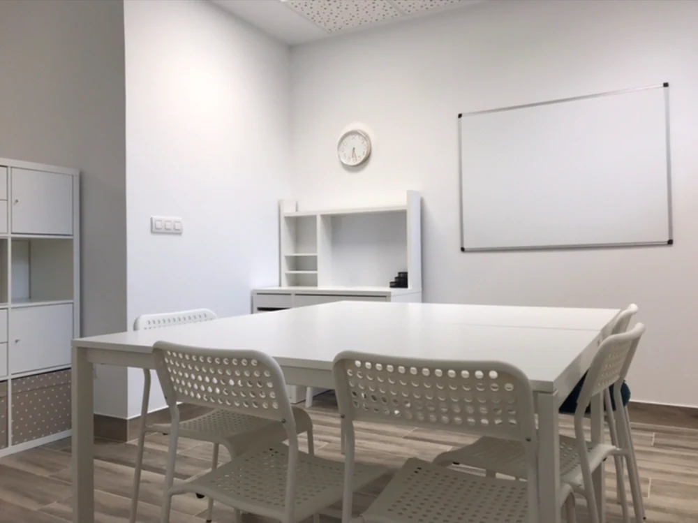 Klase partikularrak