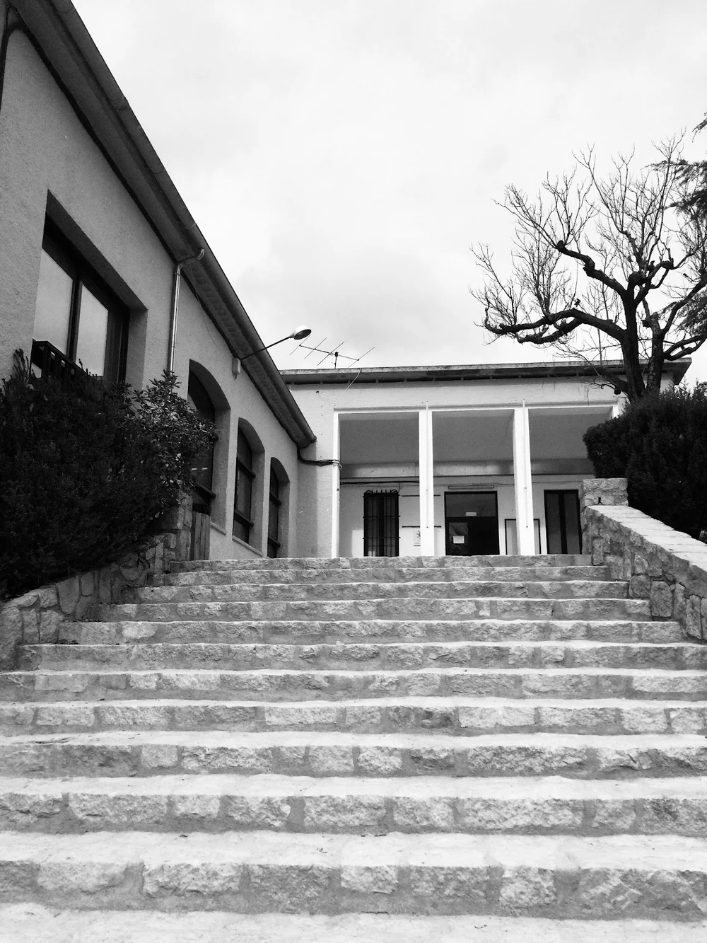 Instituto - Escuela Montseny