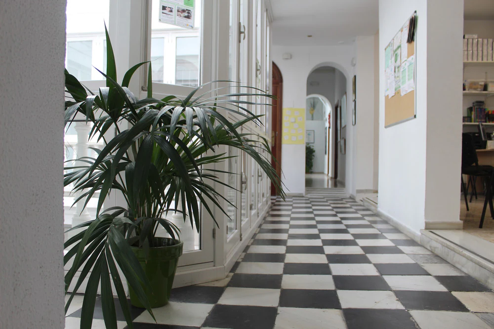 Foto de Active Language