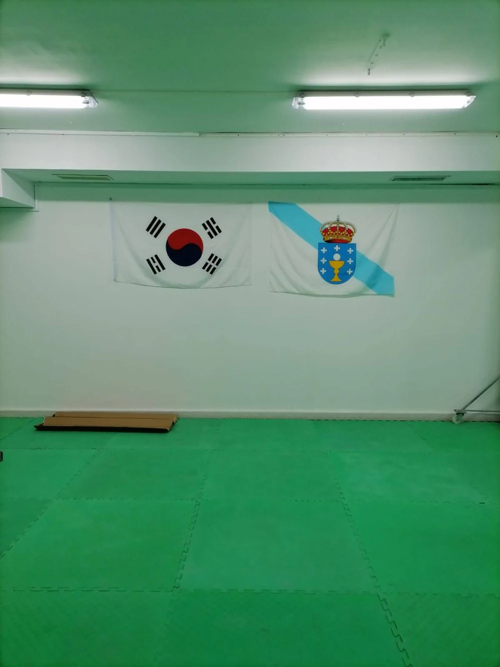 Academia Romina