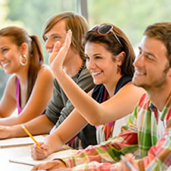English Language Institute SL