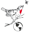 Linnet Academy of English